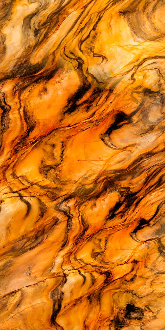 Дорато Лонг