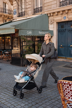 Детская коляска Anex iQ Premium NT 2 в 1 iQ-13-DNA seal