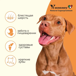 Yummy Linea корм для щенков средних и крупных пород, индейка, 8 кг
