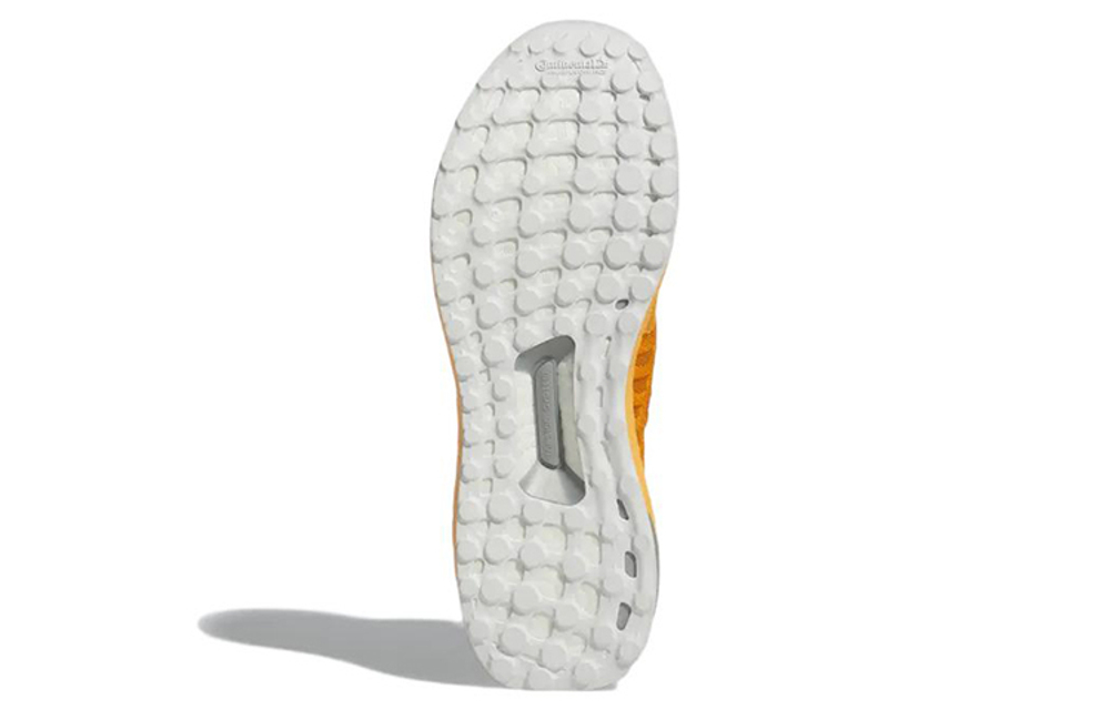 Кроссовки Adidas Ultraboost Climacool 2 Dna
