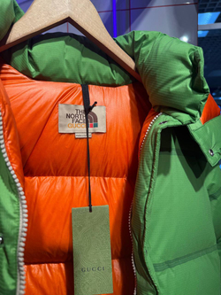 Пуховик The North Face x Gucci