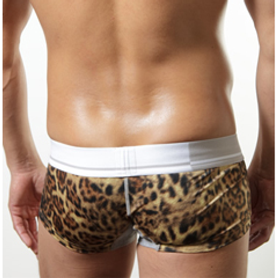 Мужские трусы хипсы коричневые леопардовые Toot Trunks Brown