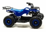 Электроквадроцикл Motoland ATV E008 800Вт