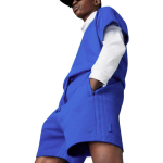 Шорты Adidas originals Blue Version, HM5120