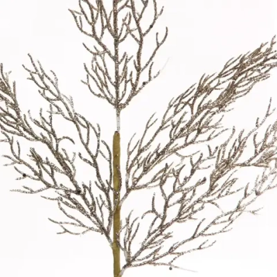 Ветка хвойная «Хрусталик» 75 см, Шампань