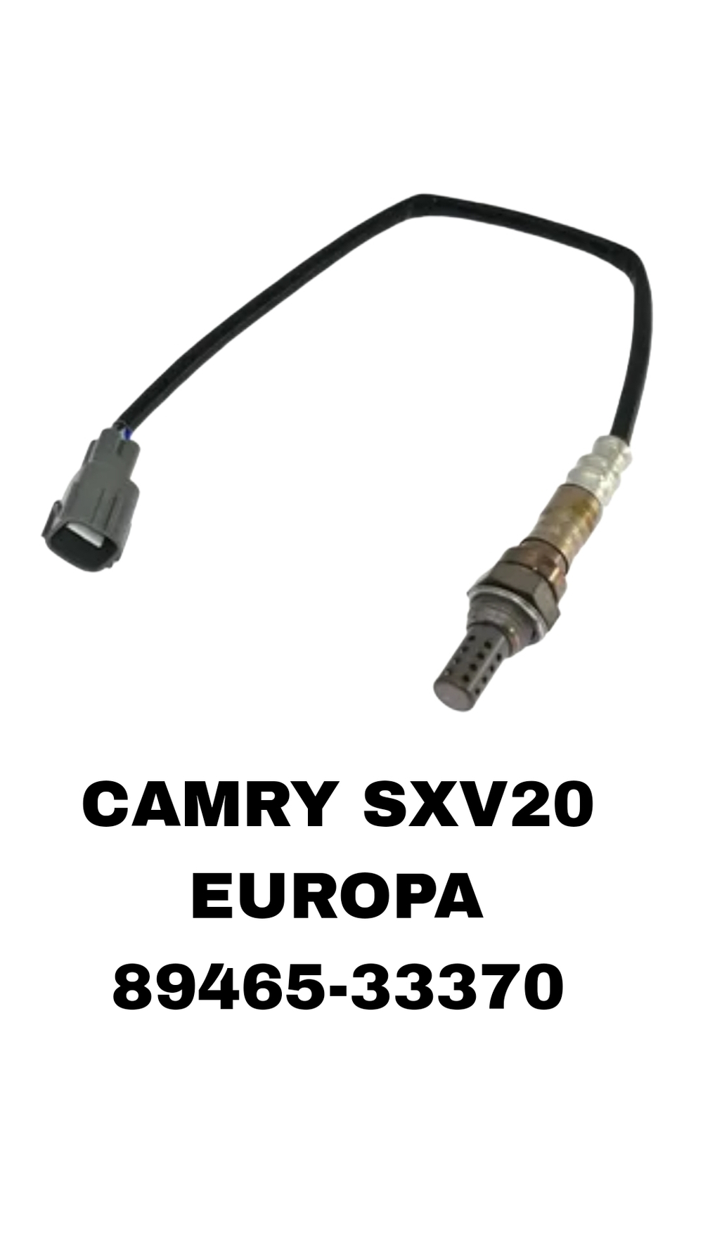 ЛЯМБДОЗОНТ CAMRY SXV20 2.2 EUROPA