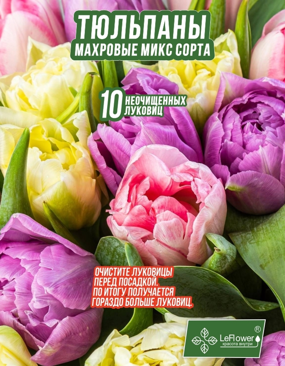 Тюльпан Луковица, Микс махровых сортов, 10шт