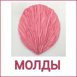 МОЛДЫ МОЛДЫ