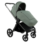 Коляска 2 в 1 Pituso Teffy Sage Green шасси Graphite