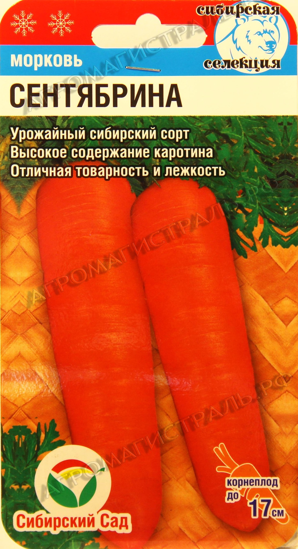 Морковь Сентябрина Сиб. сад Ц
