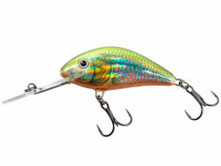 Воблер плавающий Salmo HORHET F / 4 см, цвет Holo Oikawa