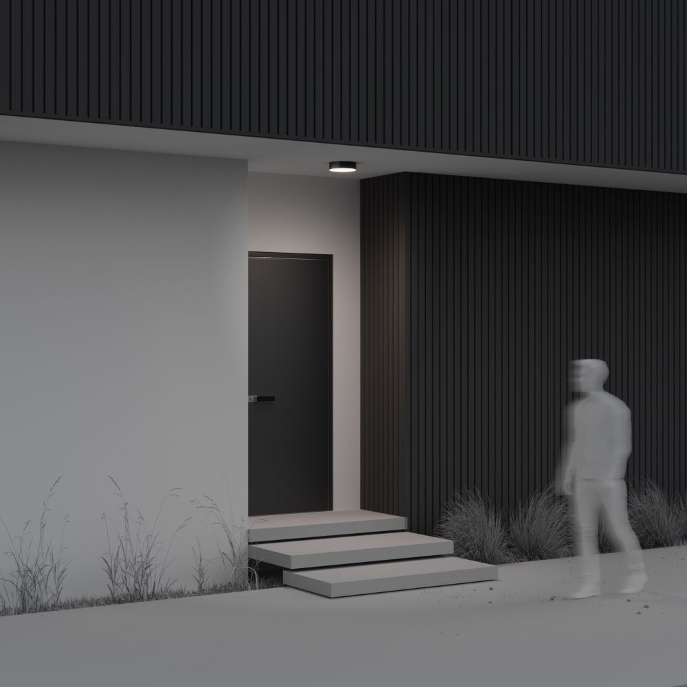 Уличный потолочный светодиодный светильник Maytoni   O431CL-L30B4K