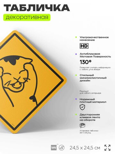 Табличка мем "Котенок хватается за голову" шуточная прикольная табличка на дверь и стену, для офиса и дома, декоративный знак, 24,5х24,5 см, пластиковая, Айдентика Технолоджи
