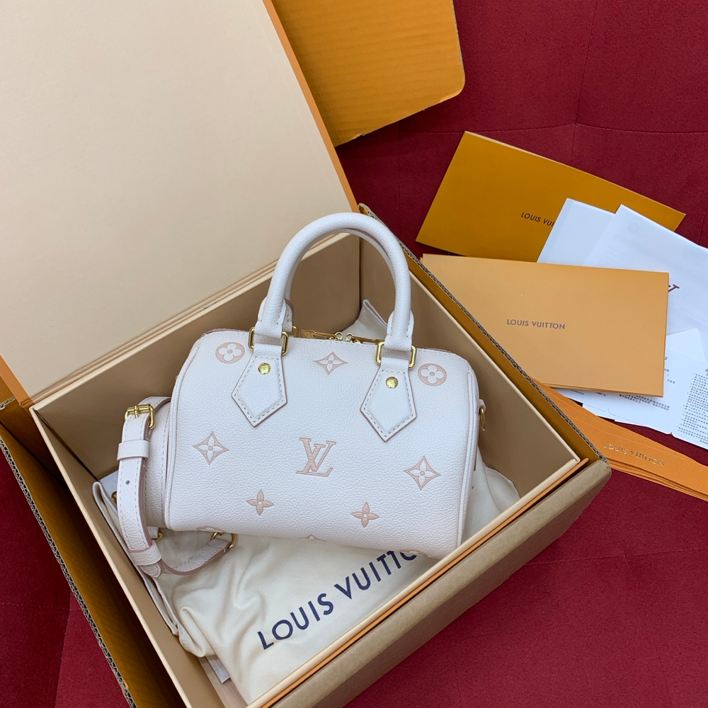 Louis Vuitton Speedy 20