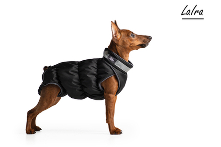 жилет для собак КРОКОДИЛ утепленная для девочек