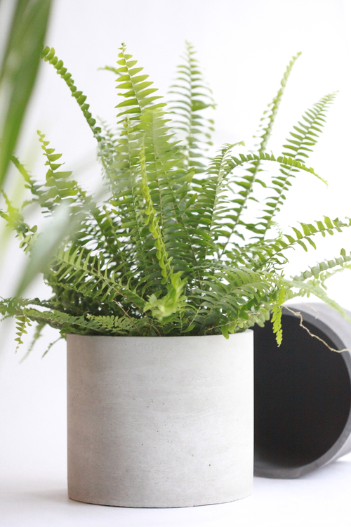 Кашпо Цилиндр 21 светло-серый