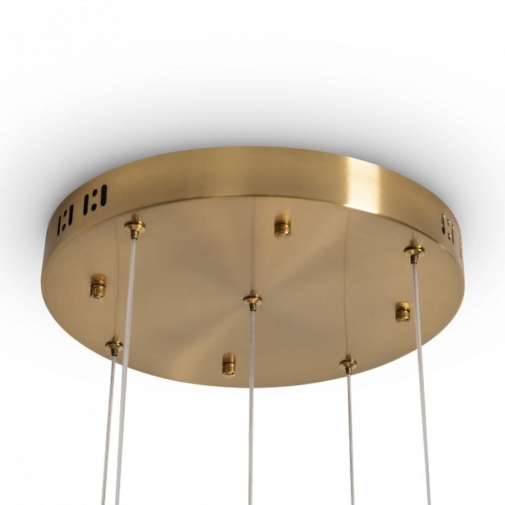 Подвесная люстра Freya Flower FR5579PL-L40BS