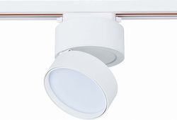 Светильник на штанге ST-Luce ST651 ST651.546.14