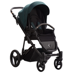 Детская коляска Bebetto Loren Gloss 2 в 1 02 т.зеленый