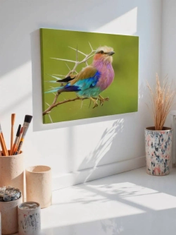 Картина на стену 40 X 50 Цветная птица