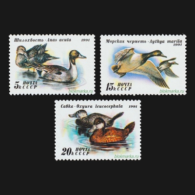 СССР 1991 г № 6334-6336 Серия Утки Чистая MNH **