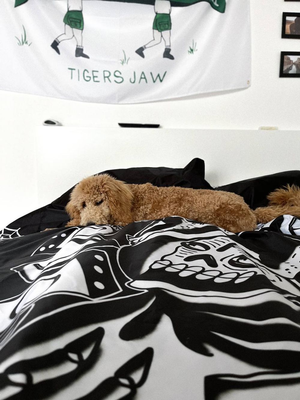 Шторка для ванной Old Lizard Bathroom Curtain Reaper