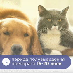Нефроантитокс порошок банка, 100 гр