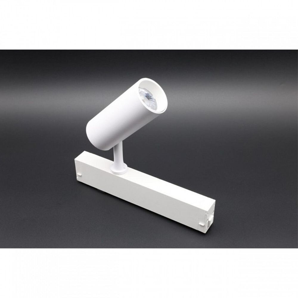 Светильник на штанге Aployt Magnetic track 220 APL.0205.10.10