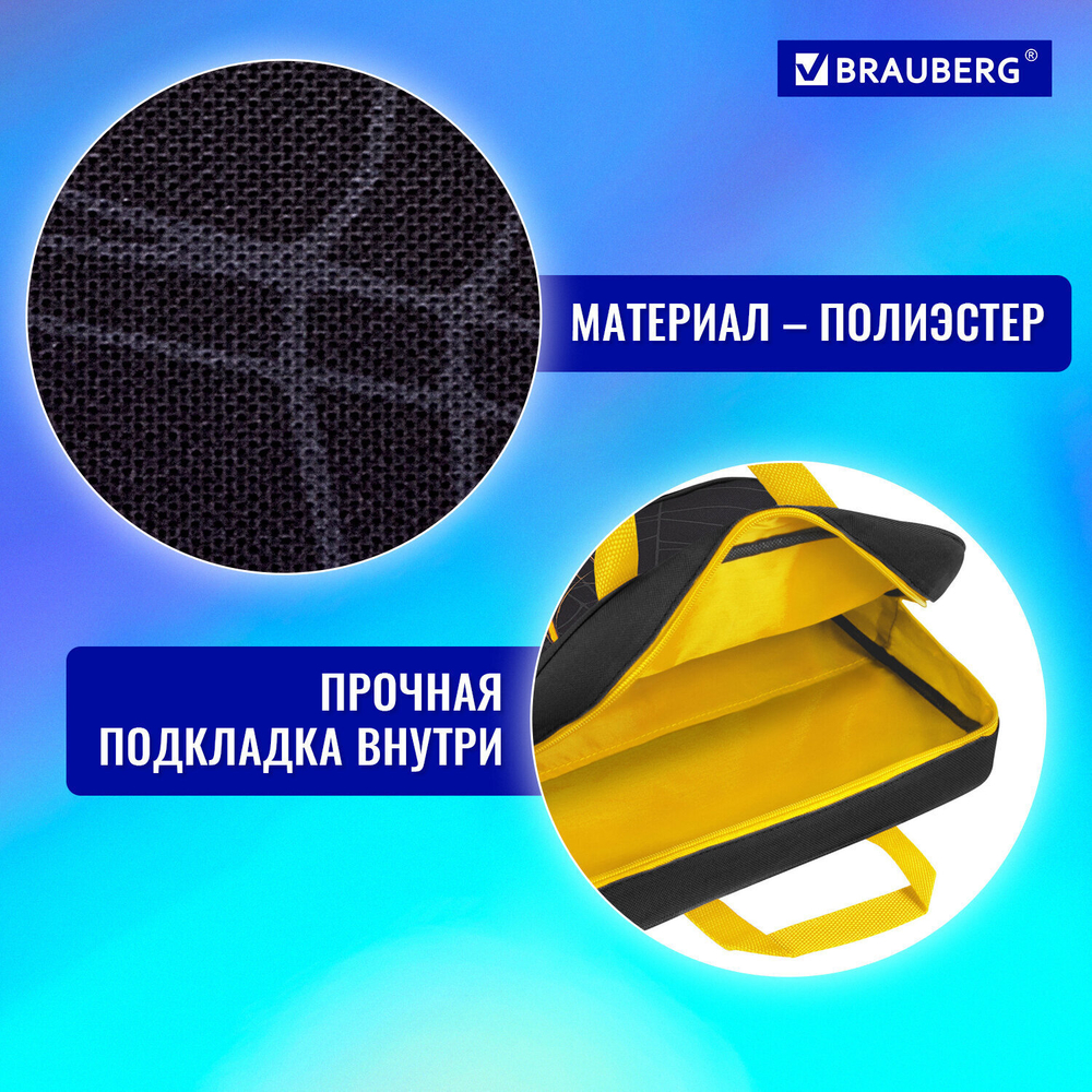 Папка на молнии с ручками BRAUBERG А4 1 отделение полиэстер 80 мм "Venomous spider" (2 штуки в упаковке)