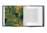 Книга «В дебрях Южной Африки» Томас Майн Рид