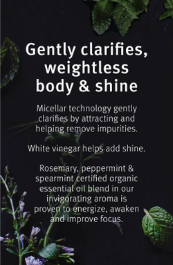 Aveda Rosemary Mint Purifying Shampoo - шампунь глубокого очищения для блеска /   1000  ml  / GTIN 018084998151