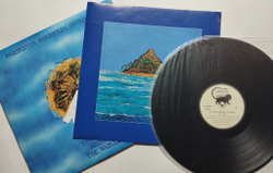 Винтажная виниловая пластинка LP Premiata Forneria Marconi The World Became The World (Japan 1974) (No Obi)