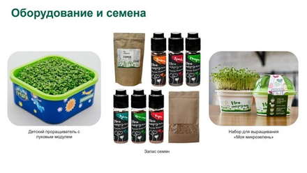 Комплексная эколого-патриотическая программа Сити-фермер, 4-7 лет