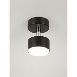Светильник настенно-потолочный спот Rivoli Alesta 7079-701 1хGX53 15 Вт поворотный | Споты-Подсветки