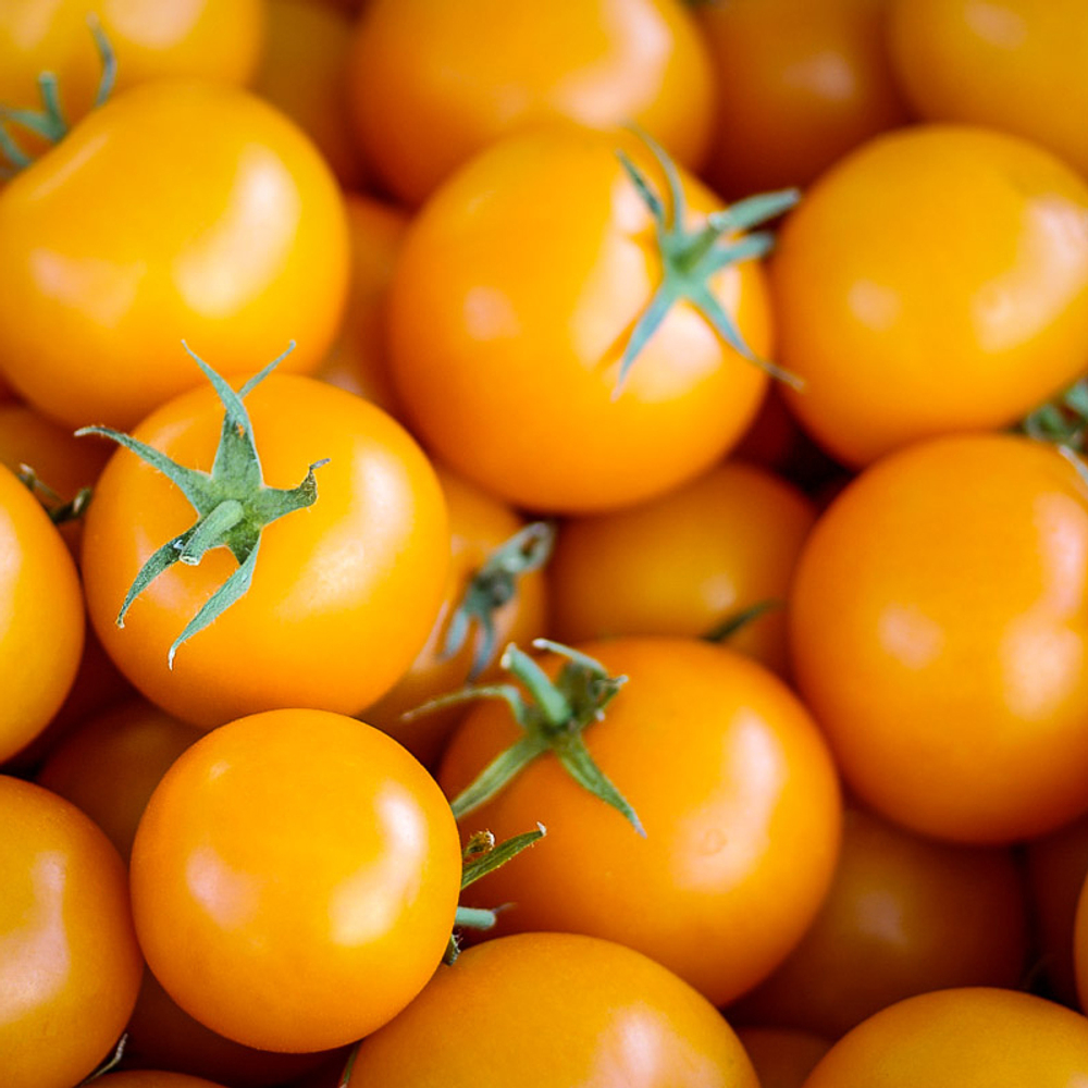 Томат Черри Желтый F1 5шт ВитаГрин ЭКСТРА