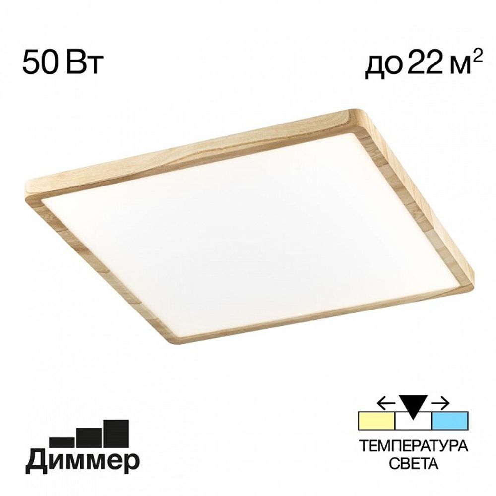 Накладной светильник Citilux Бейсик CL738K502V