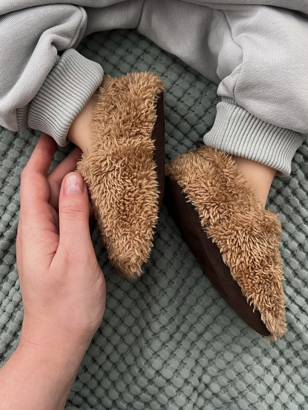 Dada TEDDY