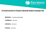 Дексалека (аналог дексафорта), раствор для инъекций, 100 мл