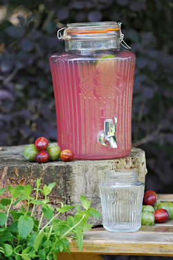 Диспенсер для напитков Vintage 5 л Kilner