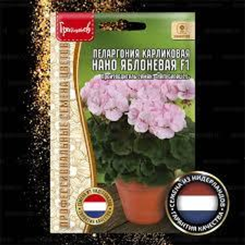 Пеларгония карликовая Нано Яблоневая F1