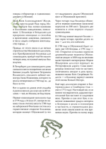 Чумовой психиатр. Пугающая и забавная история психиатрии