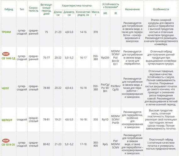 ТРОФИ F1 семена кукурузы (Seminis | Alexagro) – фото 14