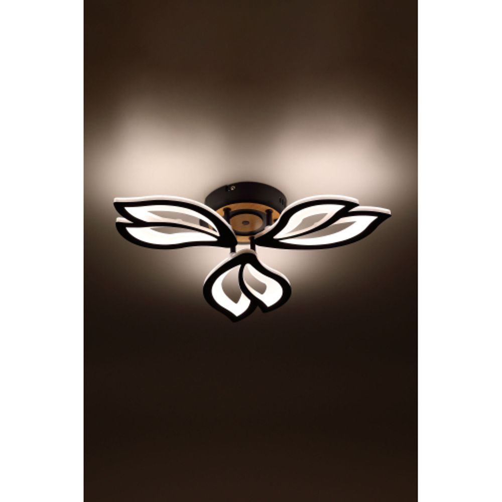 Светильник потолочный светодиодный Rivoli Lana 6195-703 LED 3000-6250К 60 Вт с пультом | Rivoli