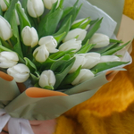 Букет из 25 белых тюльпанов в зеленом оформлении