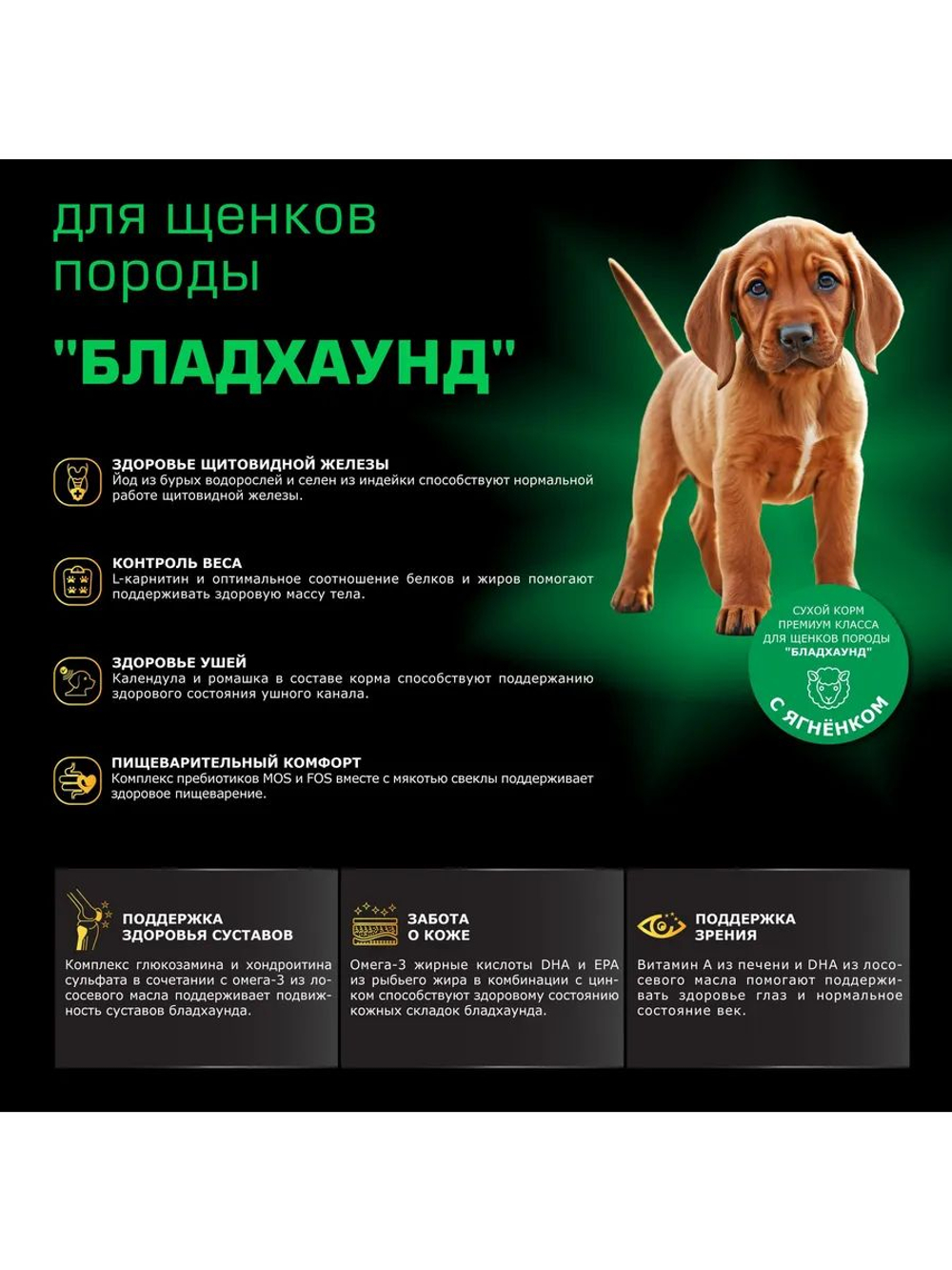 Корм сухой для щенков породы Бладхаунд, премиум полнорационный комплекс, с ягненком, 12 кг, QUATTRO