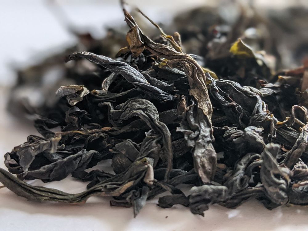 Водяная Черепаха (Шуй Цзинь Гуй)