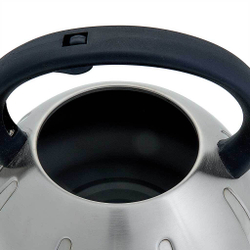 Чайник со свистком 3 л из нержавеющей стали, индукционное дно WEBBER BE-0569/1 сатин, черный