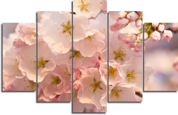 Модульная картина "Цветения сакуры"