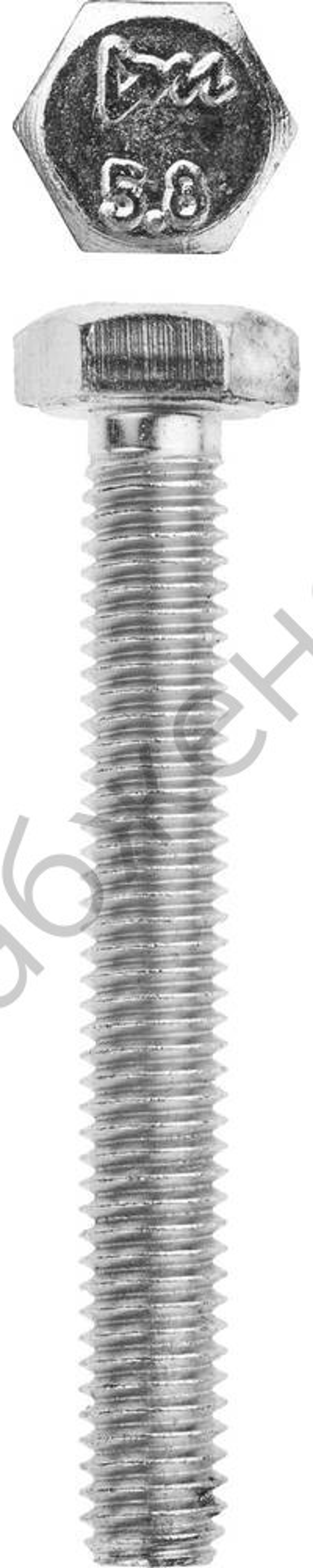 ЗУБР ГОСТ 7798-70 кл. пр. 5.8, M6 x 45 мм, болт оцинкованный, 5 кг (303080-06-045)