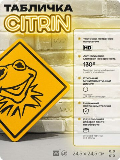 Табличка декоративная "Лягушонок Кермит из Маппет-Шоу" на дверь и стену, прикольная штука в подарок фанату, декоративный знак, 24,5х24,5 см, пластиковая, Айдентика Технолоджи